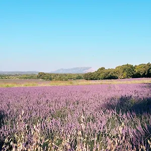 https://maison-francoise.fr-provencehotel.com